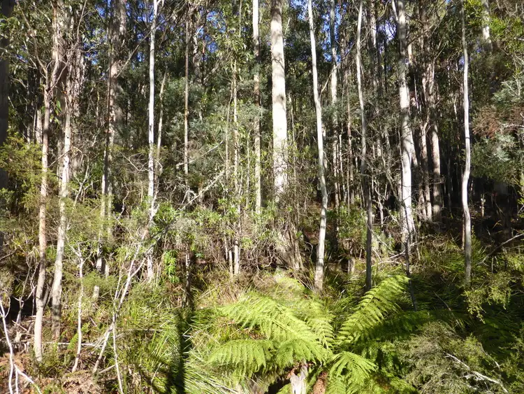 Third view of Homely land listing, Lot 1 Hanlons Road, Ellendale TAS 7140