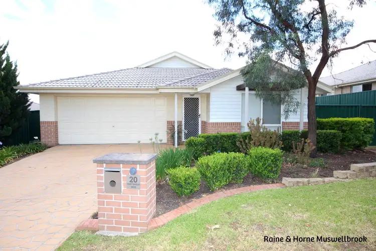 20 Henry Dangar Drive, Muswellbrook NSW 2333