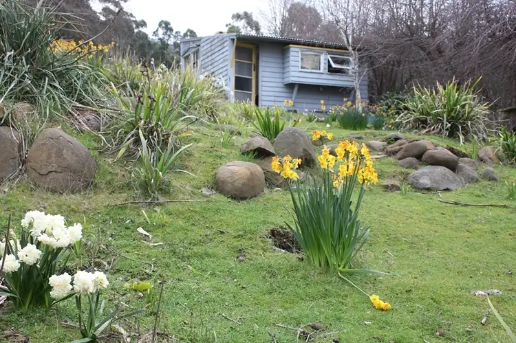 Main view of Homely land listing, 43 Louden Street, South Hobart TAS 7004