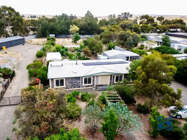 Main view of Homely house listing, 16 Schaefer Street, Freeling SA 5372
