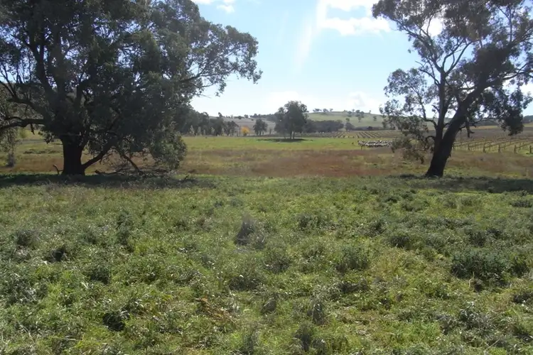 Sixth view of Homely rural property listing, 907 Darbys Falls Road, Cowra NSW 2794