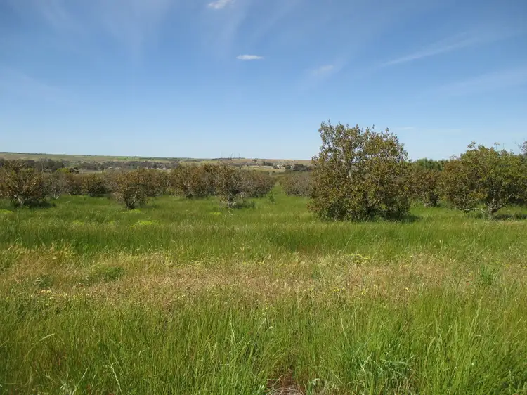 Fourth view of Homely rural property listing, s788 and S789 Kallina Dr., Mypolonga SA 5254