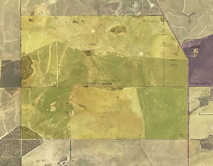 Fifth view of Homely rural property listing, South Booran Road, Merredin WA 6415