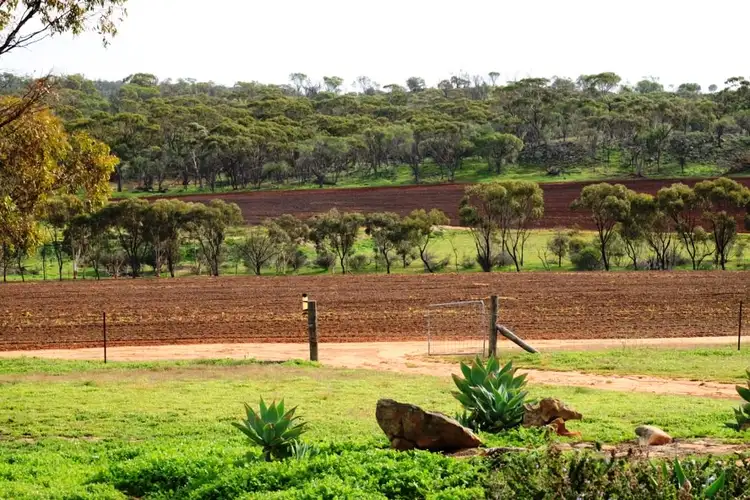 Seventh view of Homely rural property listing, 200 Slater Rd, Walyormouring, near, Goomalling WA 6460