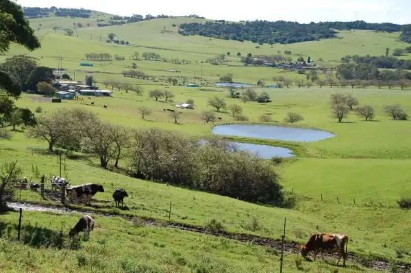 Third view of Homely rural property listing, Lot 12 "Croome Vale" Jamberoo Road, Jamberoo NSW 2533