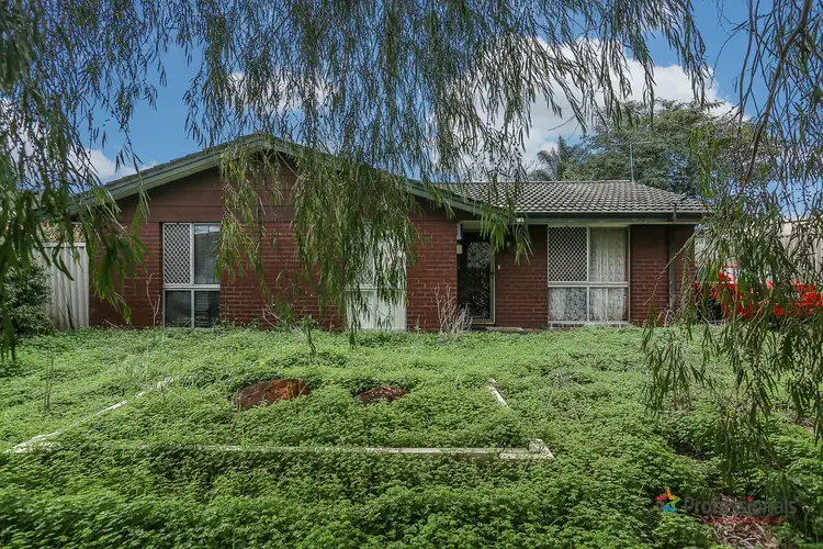 Main view of Homely house listing, 19 Bendix Way, Girrawheen WA 6064