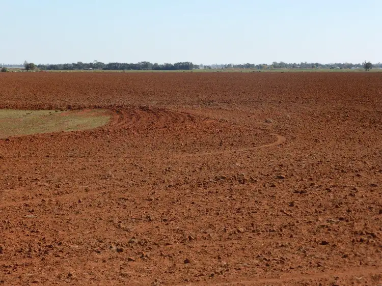 Farm 1863 McCracken Road, Leeton NSW 2705