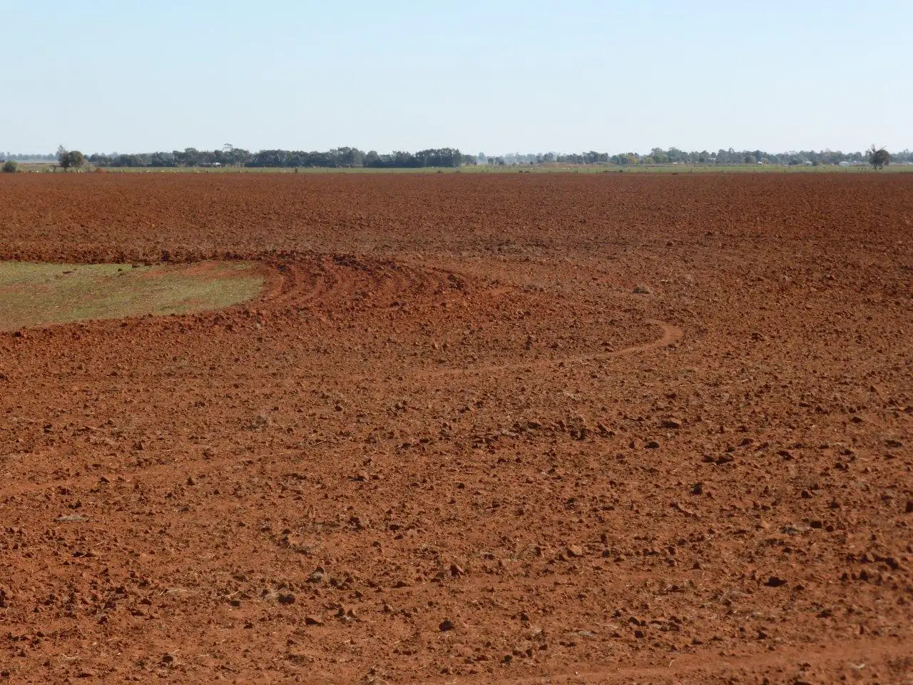 Main view of Homely rural property listing, Farm 1863 McCracken Road, Leeton NSW 2705