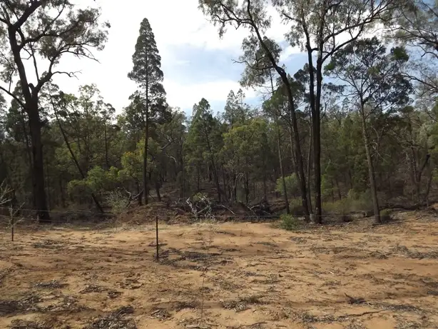 Sixth view of Homely rural property listing, Lot Kurrajong Rd, Coonabarabran NSW 2357