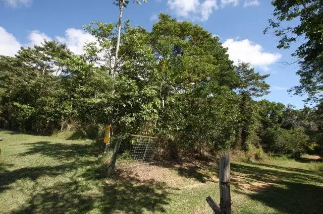 Fourth view of Homely land listing, LOT 5 Beatrice Road (Stewart Creek Valley), Daintree QLD 4873