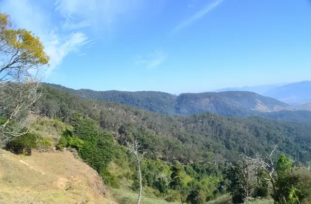 Sixth view of Homely rural property listing, Lot 145 Costigans Road, Yarras NSW 2446