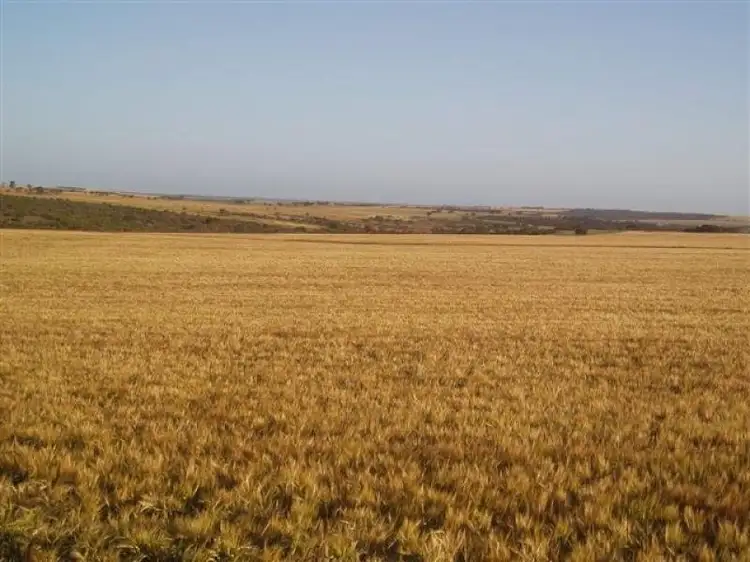 Fifth view of Homely rural property listing, 1150 Maringarup Road, Gairdner WA 6337