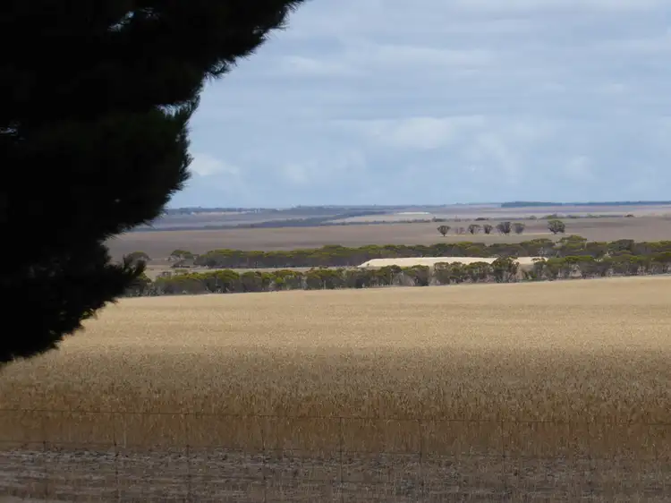 Seventh view of Homely rural property listing, 745 FITZGERALD ROAD, Ravensthorpe WA 6346