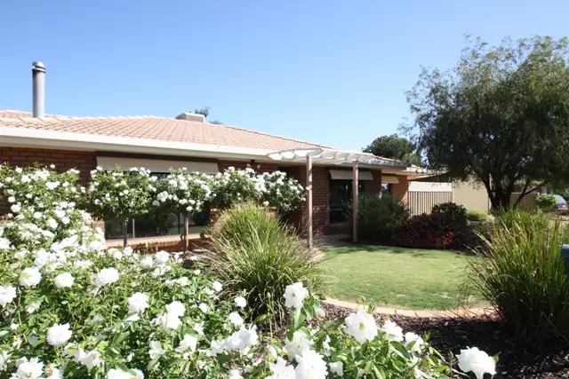 Main view of Homely house listing, 20 LUTHER ROAD, Loxton SA 5333