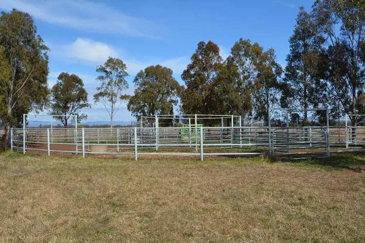 Seventh view of Homely rural property listing, "Thurloo" 428 Howes Hill Rd, Gunnedah NSW 2380