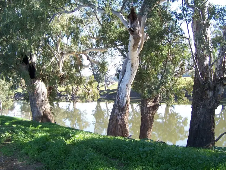 61 Merritts Road, Wagga Wagga NSW 2650