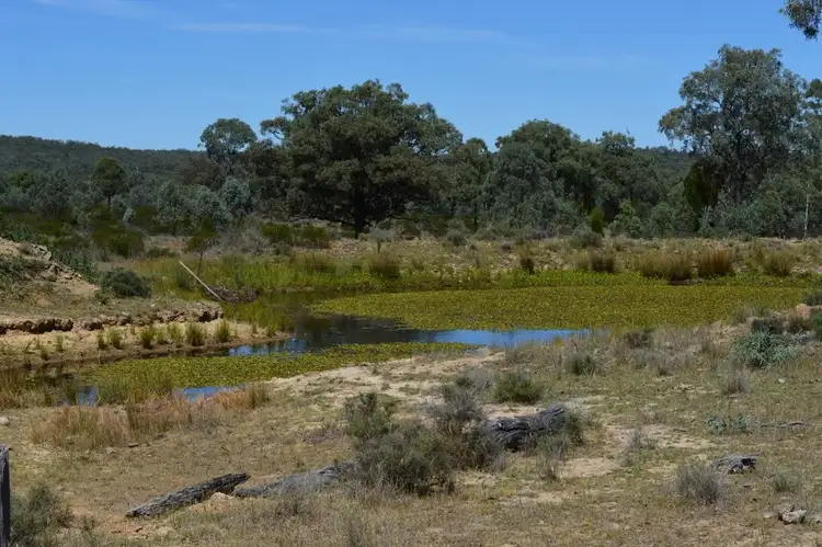 Sixth view of Homely rural property listing, Lot 58 Rockdale Road, Karara QLD 4352