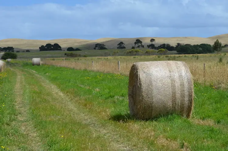 Fifth view of Homely rural property listing, Lot 5 Fosters Road, Millicent SA 5280