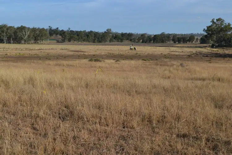 Sixth view of Homely rural property listing, Lot 12 Douglas Plainby Road, Douglas QLD 4354