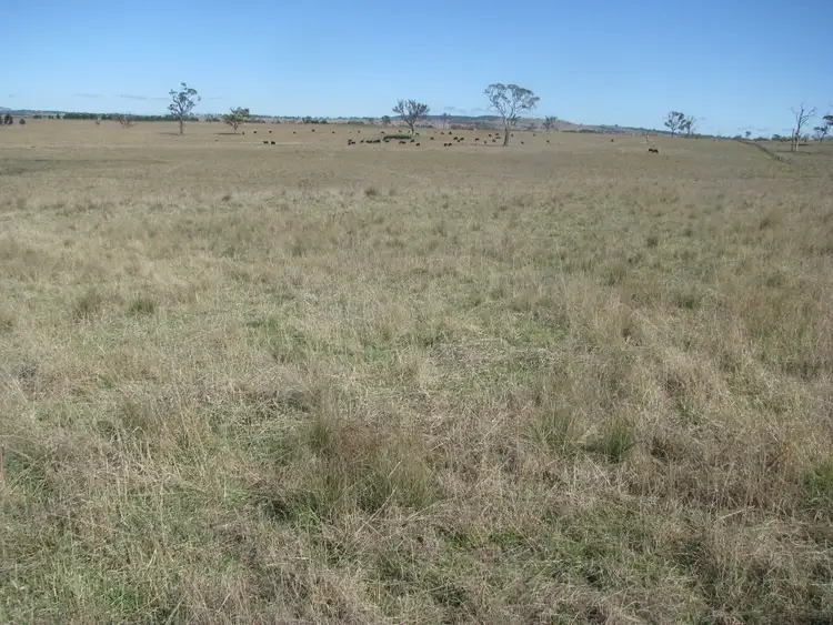 Third view of Homely rural property listing, 380 Elliots road, Armidale NSW 2350