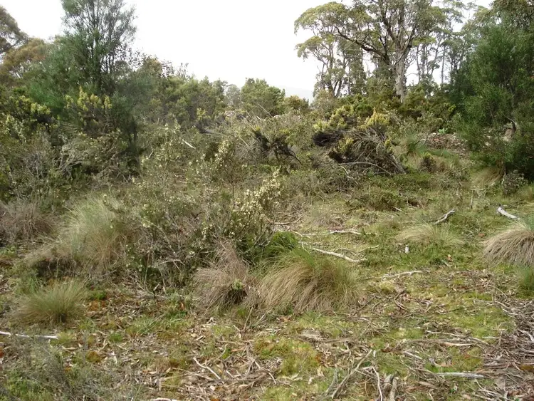 Third view of Homely land listing, Lot 15, 21 Jones Road, Miena TAS 7030