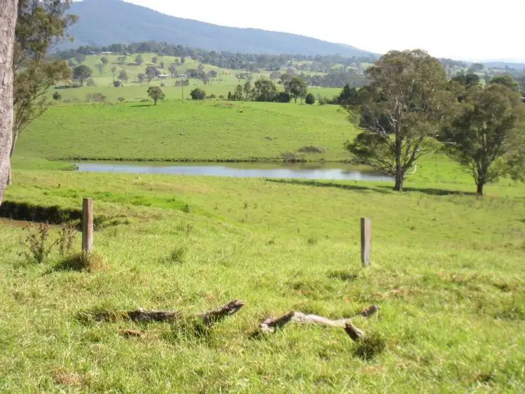 Sixth view of Homely rural property listing, 348 Wandella Rd, Cobargo NSW 2550