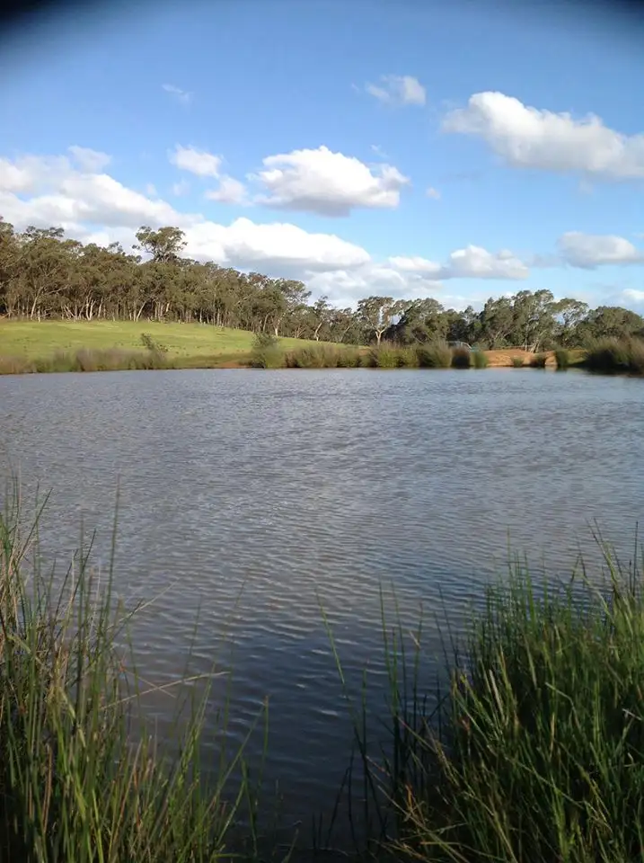 Fifth view of Homely rural property listing, 1444 Heathcote-Nagambie Road, Heathcote VIC 3523