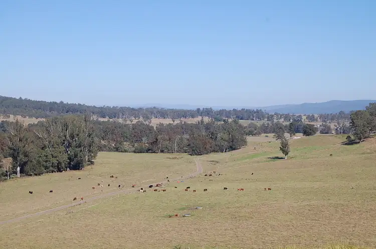 Fourth view of Homely rural property listing, 191 Shorts Road, Old Bonalbo NSW 2469
