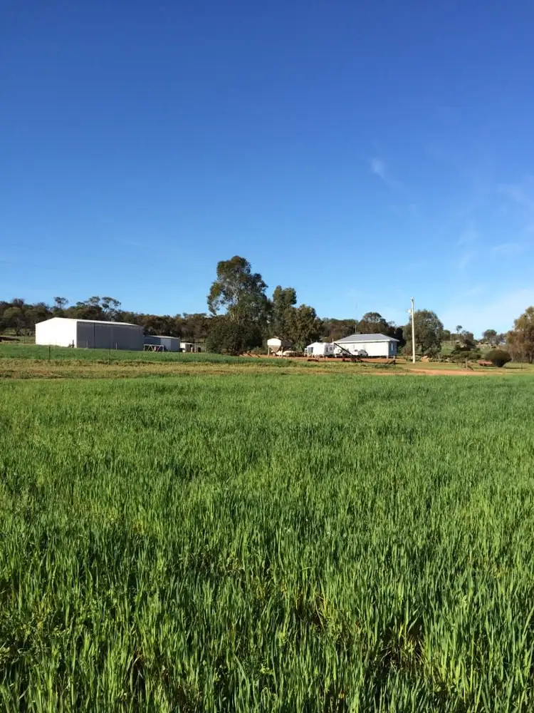 Fourth view of Homely rural property listing, 200 Slater Rd, Walyormouring, near, Goomalling WA 6460