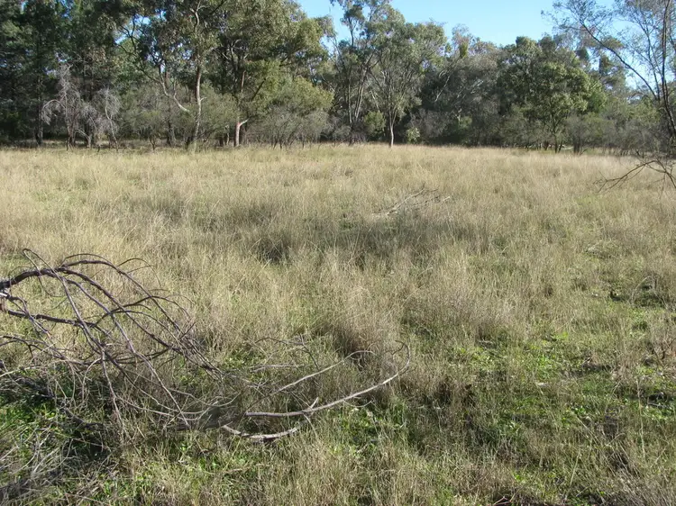 Sixth view of Homely rural property listing, 615 "Wilga Park" Caloola Rd, Boggabri NSW 2382