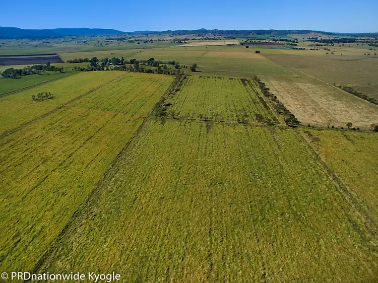 Third view of Homely rural property listing, 80 O'Connors Road, Fairy Hill Via, Kyogle NSW 2474