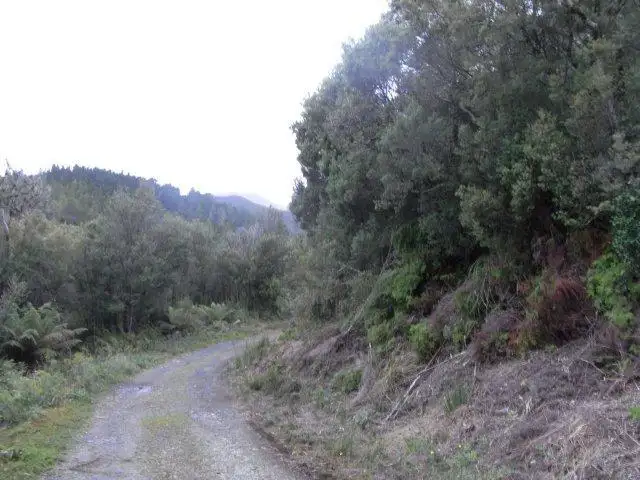 Fourth view of Homely land listing, . Crotty Street, Queenstown TAS 7467
