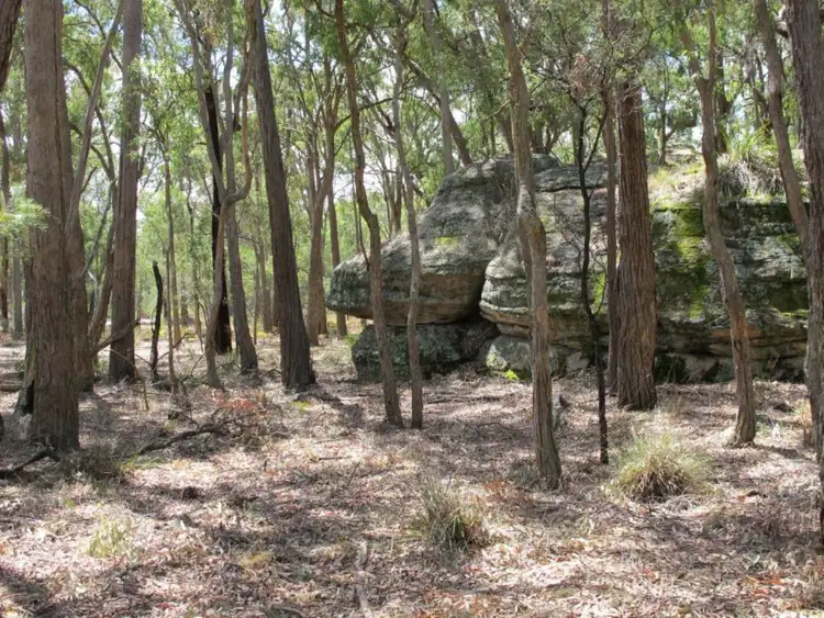 Fifth view of Homely rural property listing, 255 MacArthur Park Road, Mudgee NSW 2850