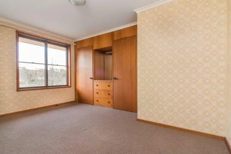 Sixth view of Homely rural property listing, Pine Lodge 17564 Hume Hwy, Goulburn NSW 2580