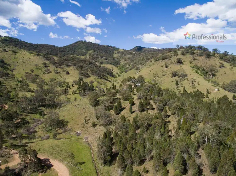 Sixth view of Homely rural property listing, 60 Peach Tree Lane, Mudgee NSW 2850