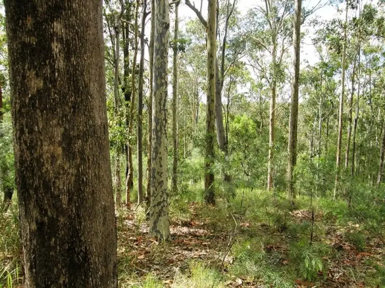 Main view of Homely rural property listing, 2541 Gwydir Highway, Ramornie NSW 2460