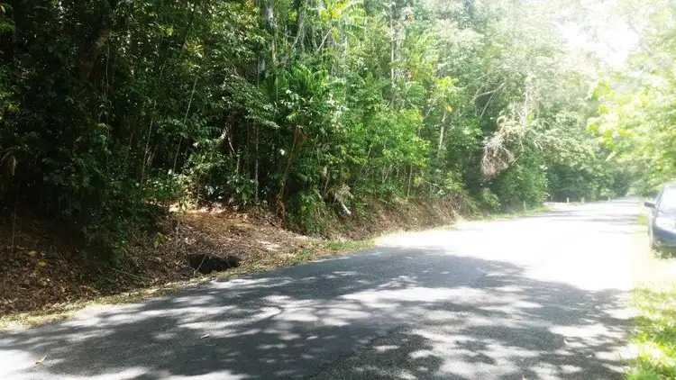 Second view of Homely land listing, 8 Buchanan Creek Rd, Daintree QLD 4873