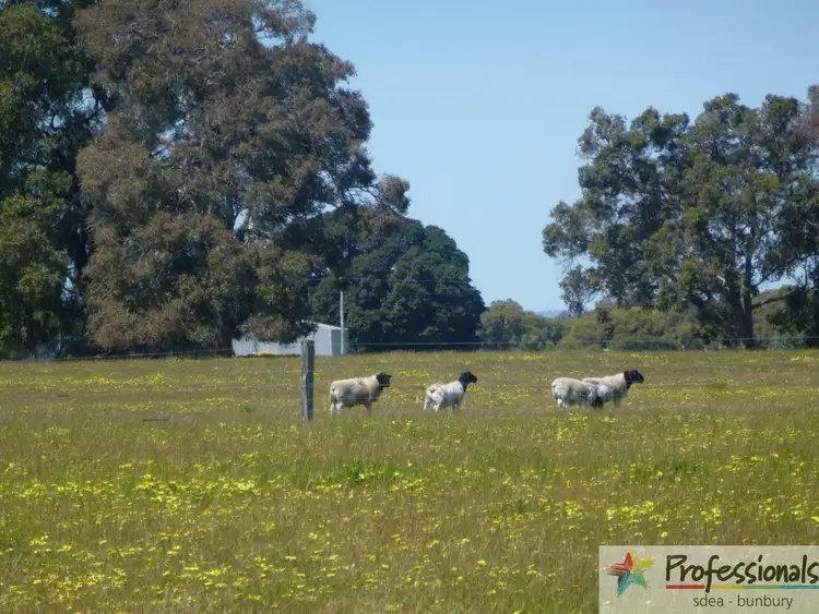 Fifth view of Homely rural property listing, 134 Dutchman Road, West Coolup WA 6214