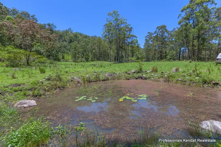 Second view of Homely land listing, 905M Main Western Road, Tamborine Mountain QLD 4272