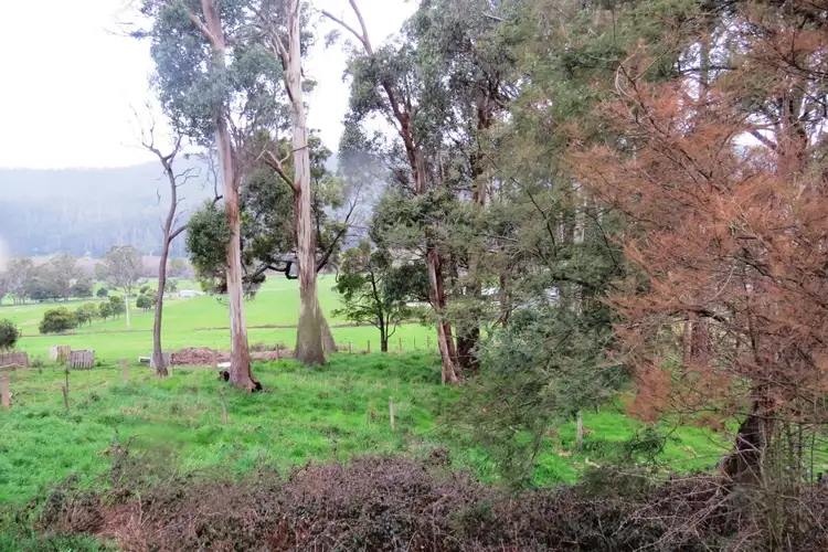 Fifth view of Homely rural property listing, 1540 Railton Road, Merseylea TAS 7305