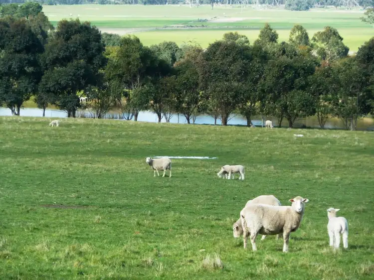 Main view of Homely rural property listing, 575 Preston Hill Road, Hillcrest VIC 3351