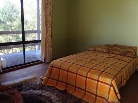Fourth view of Homely rural property listing, 228 Buckley Rd, Bemboka NSW 2550