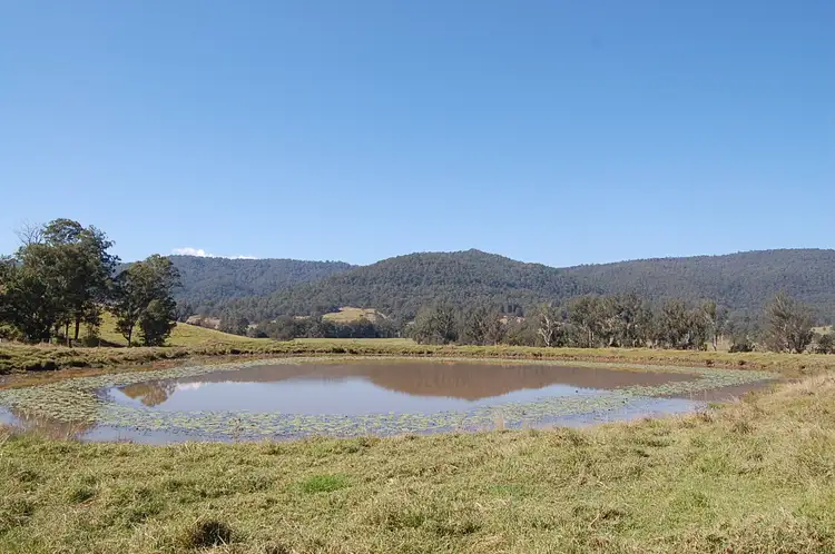 Main view of Homely rural property listing, 191 Shorts Road, Old Bonalbo NSW 2469