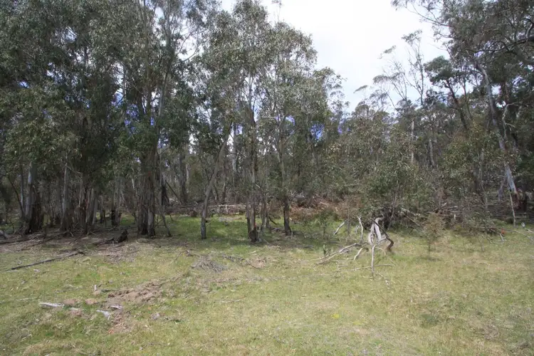 Third view of Homely rural property listing, 345 Kybeyan Road, Nimmitabel NSW 2631