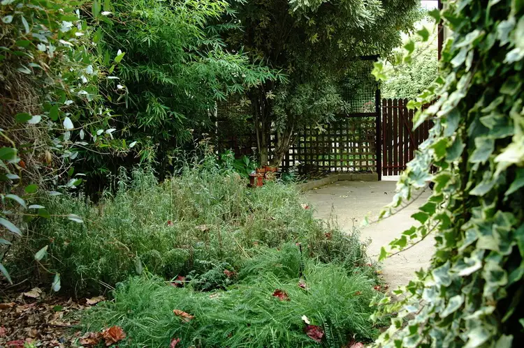 Seventh view of Homely house listing, 90 Stephenson Street, Great Western VIC 3377