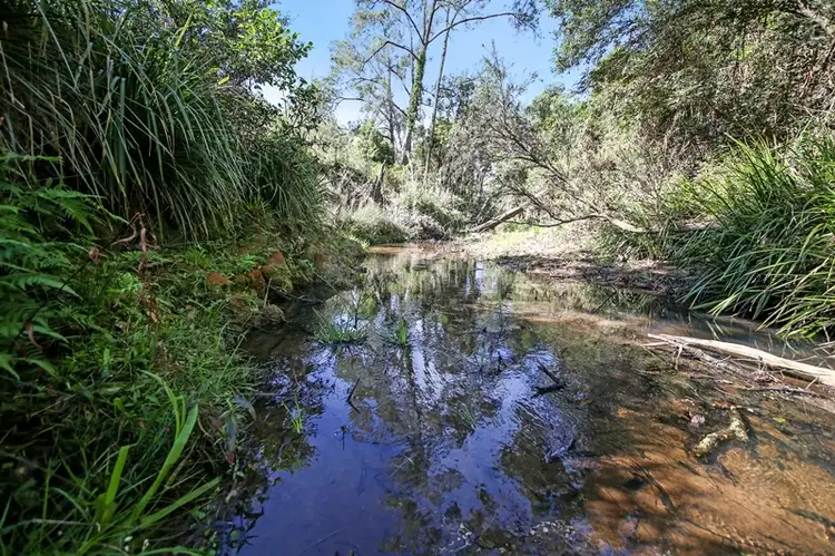 Lot 2761 Kangaroo Creek Road, Kangaroo Creek NSW 2460