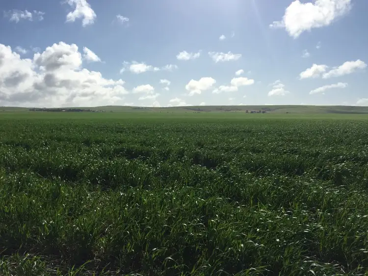 Fourth view of Homely land listing, Lot 1 Mine Hill Road, Tumby Bay SA 5605