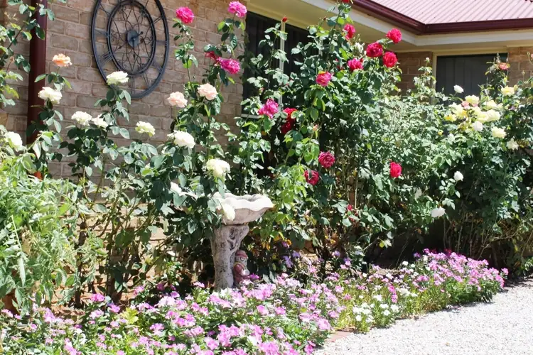 Fourth view of Homely house listing, 43 Wynella Street, Gulgong NSW 2852