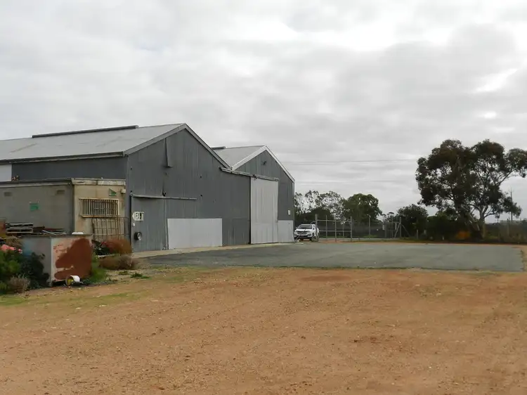 Main view of Homely rural property listing, 40 Skellon Road, Berri SA 5343