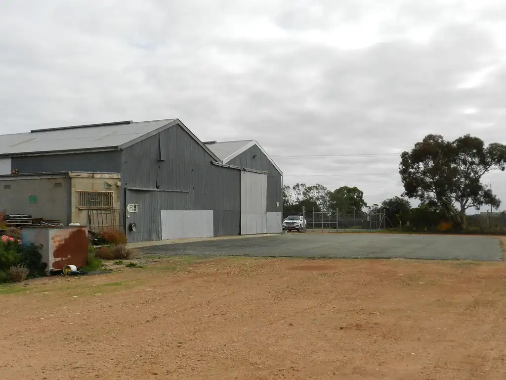 Main view of Homely rural property listing, 40 Skellon Road, Berri SA 5343